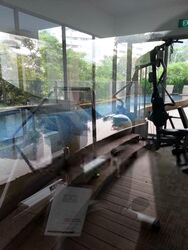 Suites @ Cairnhill (D9), Apartment #389698051